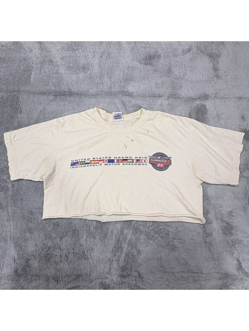 Gildan 2003 Formula 1 US Grand Prix Indianapolis Medium Crop T Shirt F1 Racing